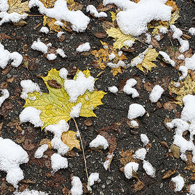 Абстракция с листом и снегом